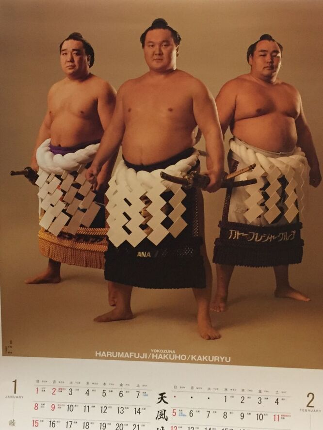 大相撲2020年・壁掛けカレンダー ＆ 二所ノ関部屋1枚紙カレンダー付き