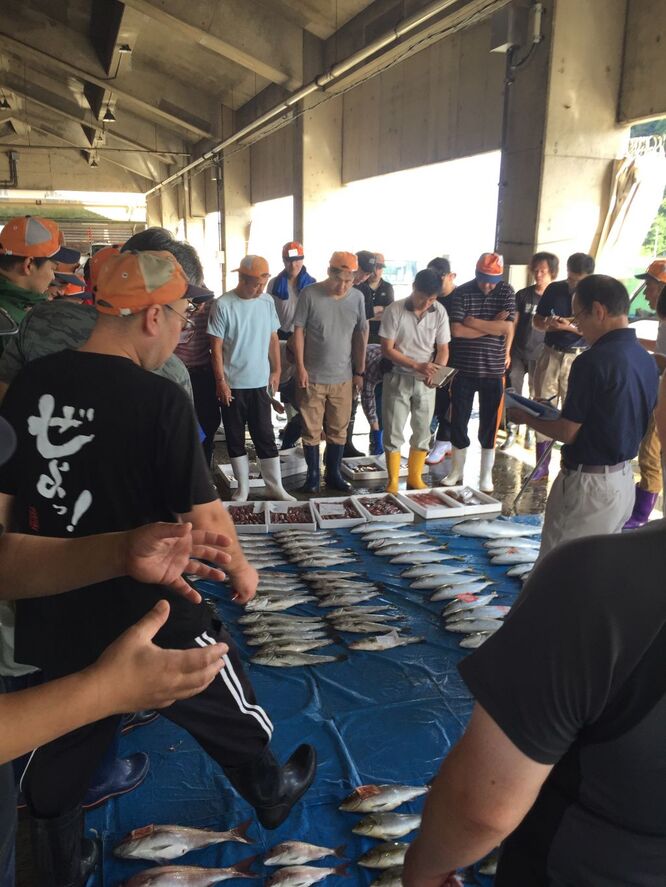 5月1日 今年もまたツツジの花が咲きました 丸世井