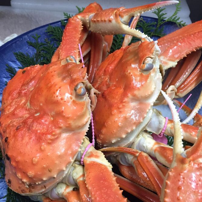 イカ釣り漁船 丸世井