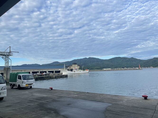 21 9 10 今日の香住漁港は薄曇りです 小型香住ガニ船８隻が入港しました 競り値は 解禁の時より高いです 誠竜丸の香住ガニをゲットしました 丸世井