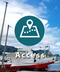 access